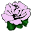 xxx